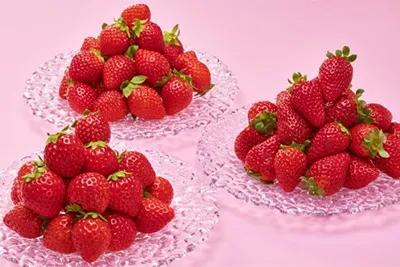 苺スイーツバイキング,ホテル帝国ホテル ザ・パー,2026