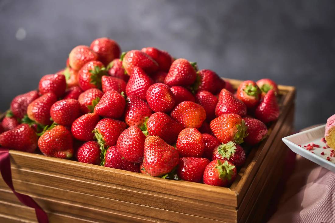 センタラグランドホテル大阪,